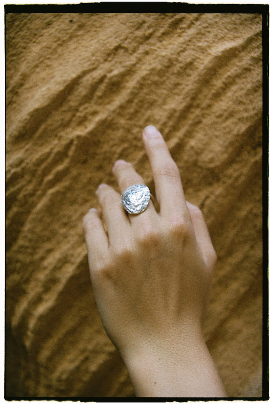 Anillo Fósiles